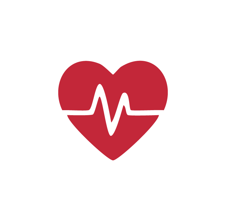 Health Check icon